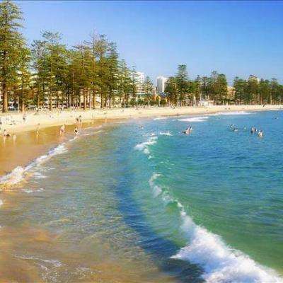 im电竞官方官网手机app下载